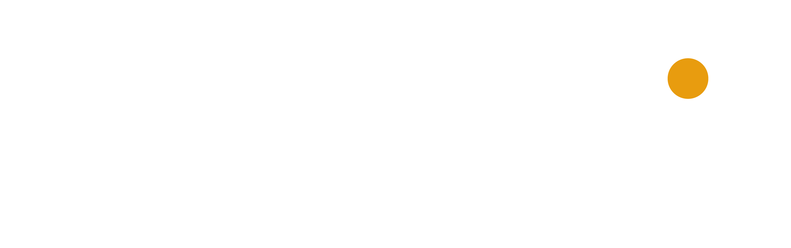 Website logo