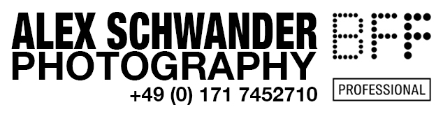 Website logo