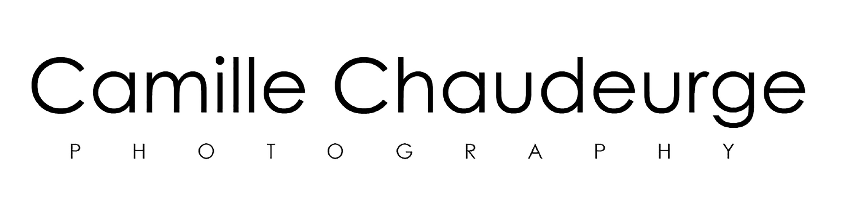 Website logo