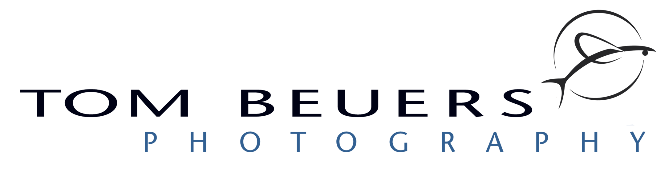 Website logo