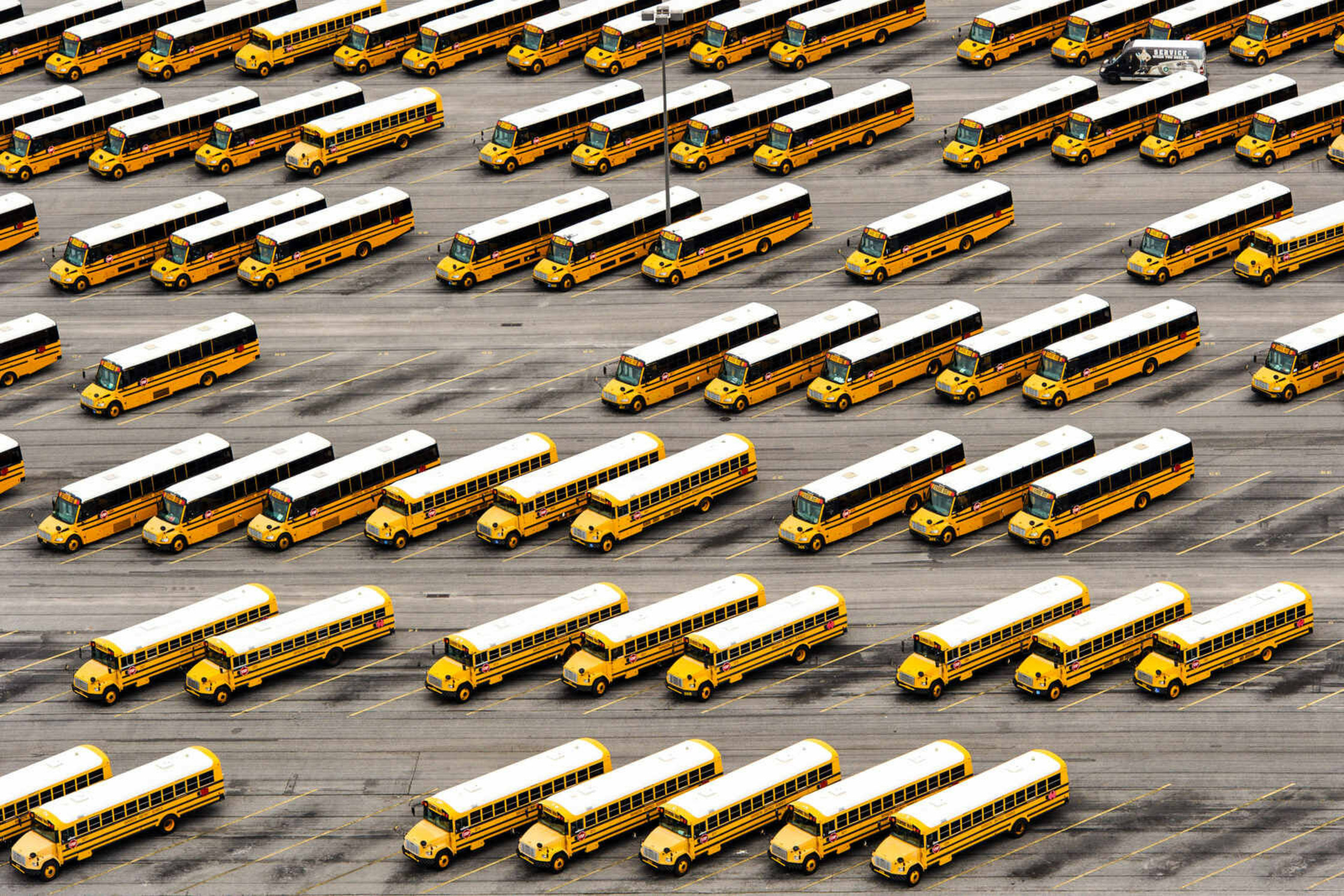 a lot of yellow school buses parked in a parking lot