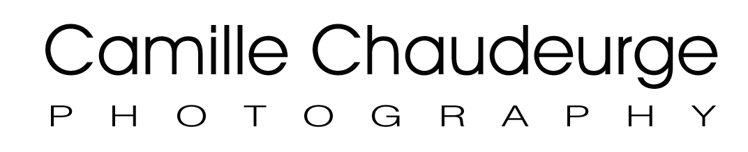 Website logo
