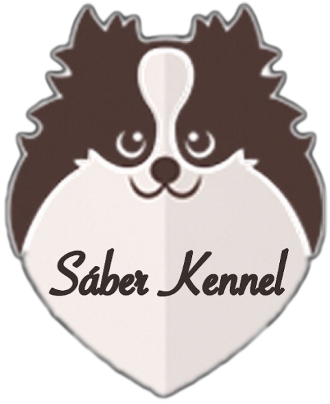 Website logo