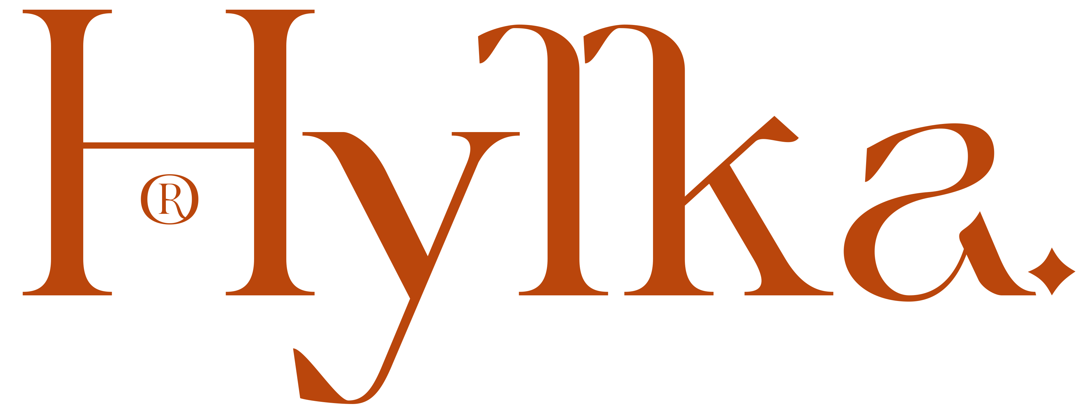 Website logo