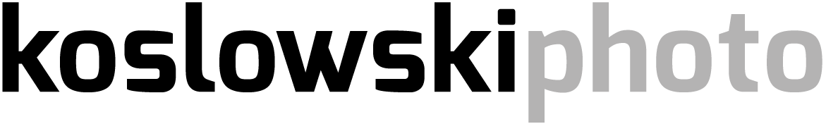 Website logo