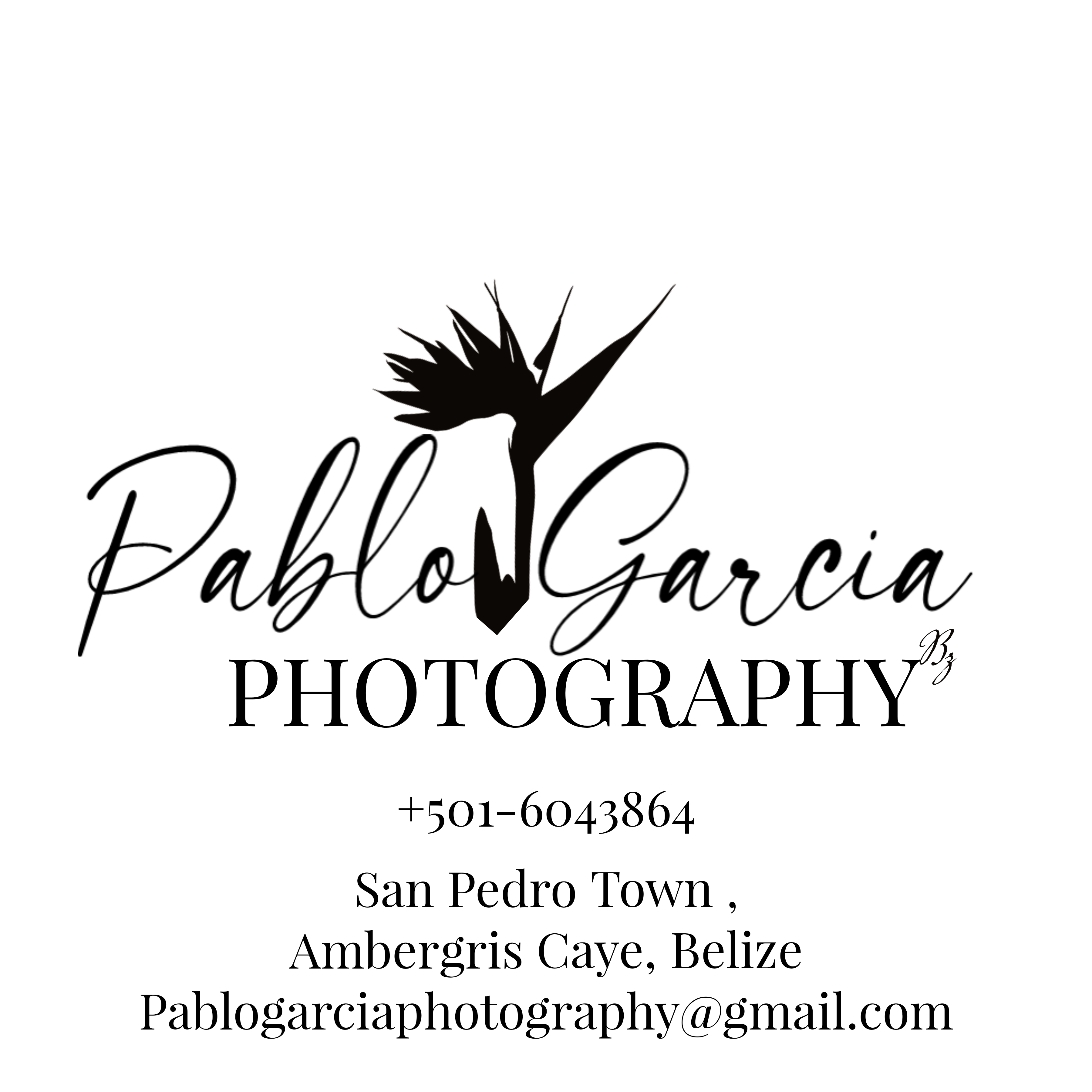 Website logo